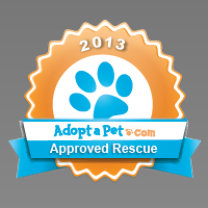theboxerrescuehomepage001010.jpg